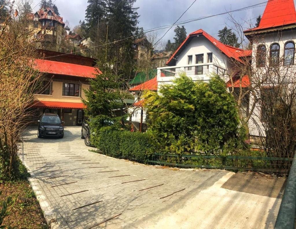 Vila Agata Sinaia Eksteriør billede