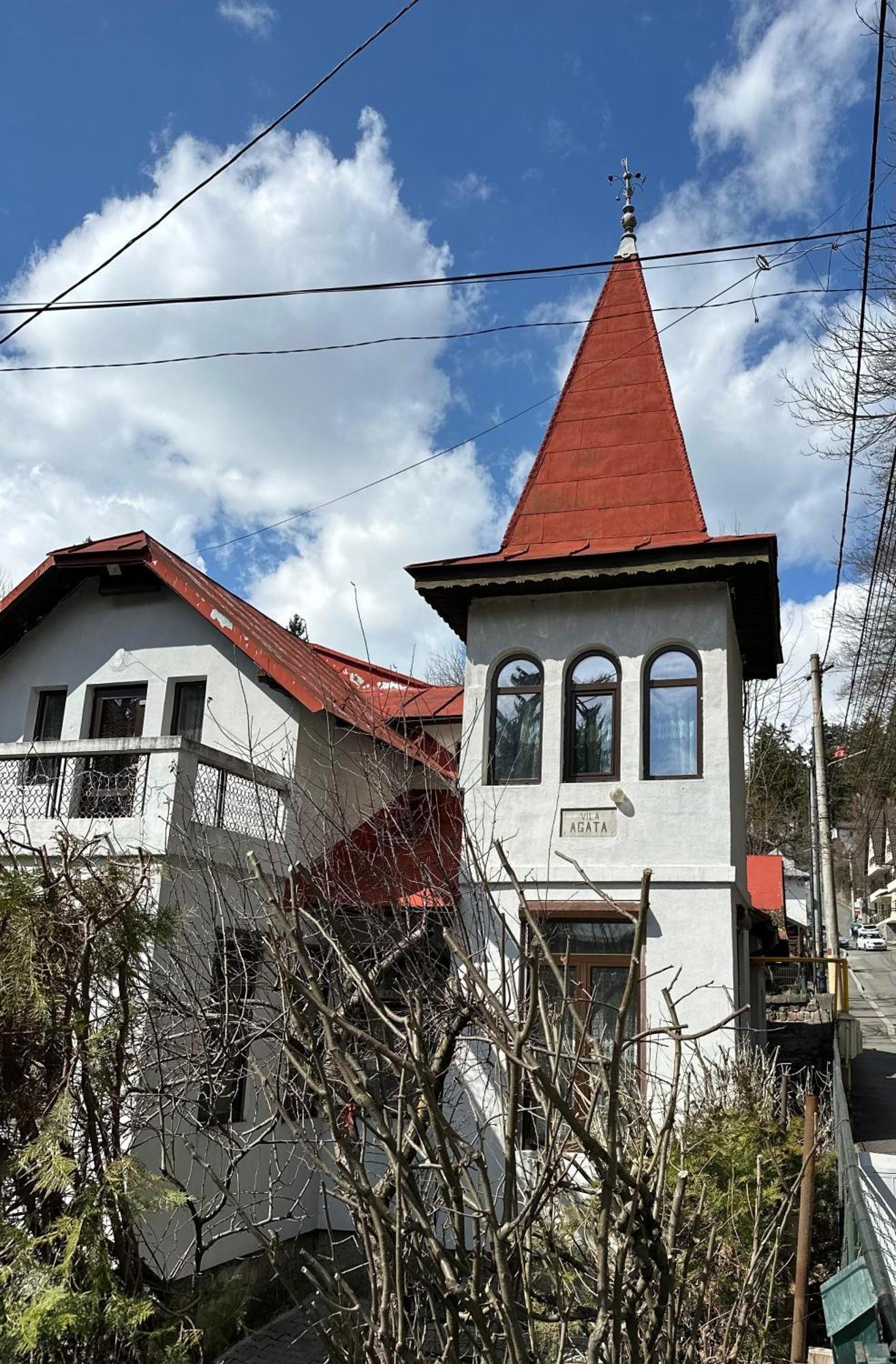 Vila Agata Sinaia Eksteriør billede